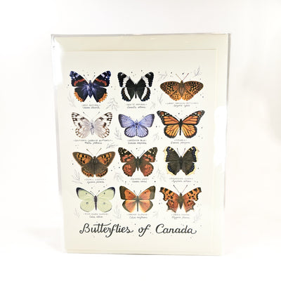 Butterflies of Canada Card - 1